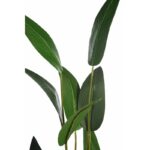 PLANTA ESTERLICIA ARTIFICIAL 180CM - Imagen 2