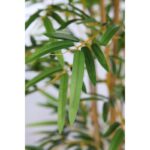ARBOL DE BAMBU ARTICIAL 190CM - Imagen 3