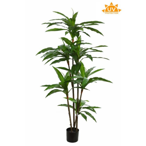 DRACENA ARTIFICIAL 145CM - Imagen 1