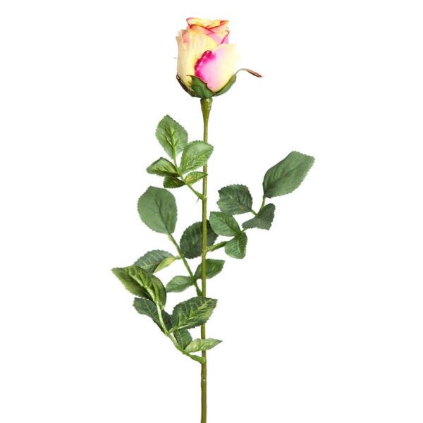 VARA DE ROSA 70 CM - Imagen 1