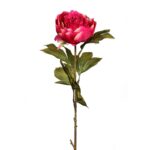 VARA DE PEONIA 70CM - Imagen 2