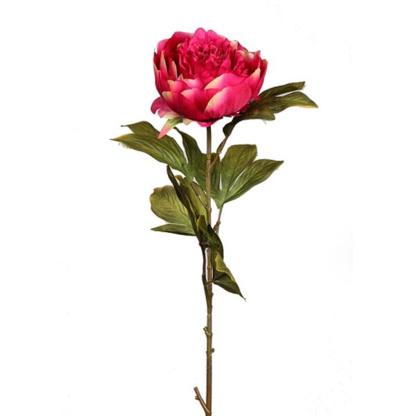 VARA DE PEONIA 70CM - Imagen 2