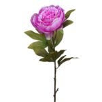 VARA DE PEONIA 70CM - Imagen 5