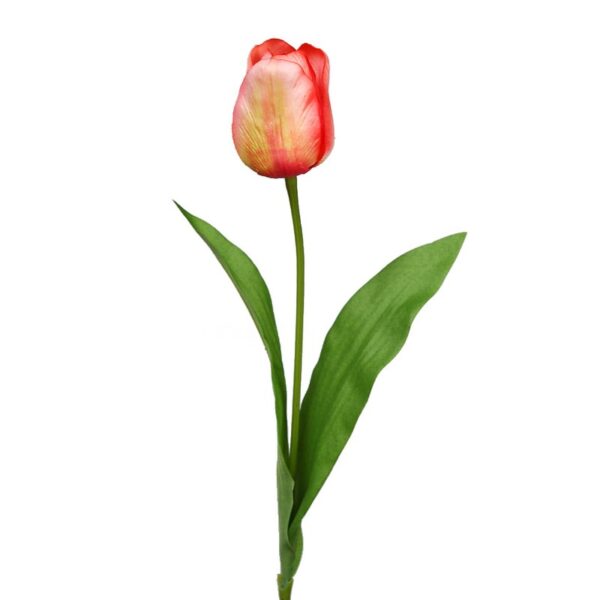 AD0033.05_0 VARA TULIPAN 62CM - Imagen 1