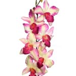 VARA ORQUIDEA ARTIFICIAL 80CM - Imagen 6