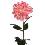 VARA DE DALIA ARTIFICIAL 70CM - Imagen 4