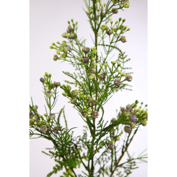 VARA GYPSOFILA ARTIFICIAL - Imagen 4