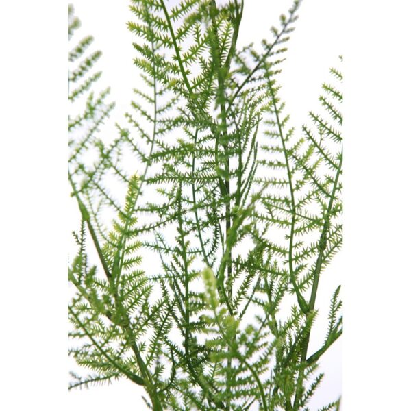 VARA ESPARRAGUERA ARTIFICIAL 70CM - Imagen 2