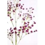 VARA GYPSOFILA ARTIFICIAL 64 CM - Imagen 6