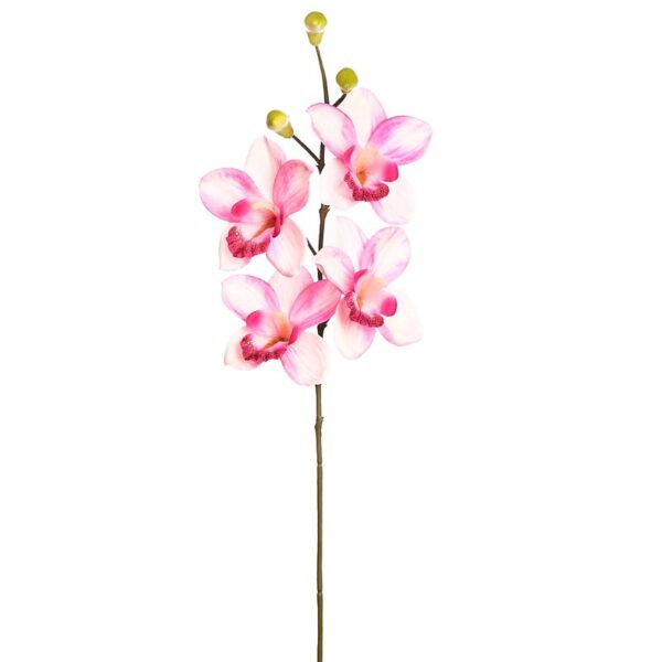 VARA ORQUIDEA CYMBIDIUM 60 CM - Imagen 1