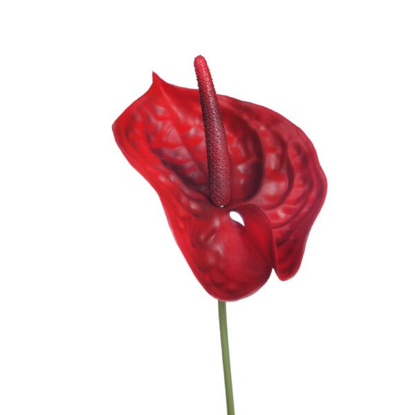 VARA ANTURIUM 70 CM - Imagen 2