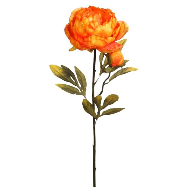 AD0492.12_0 VARA PEONIA 70 CM - Imagen 1