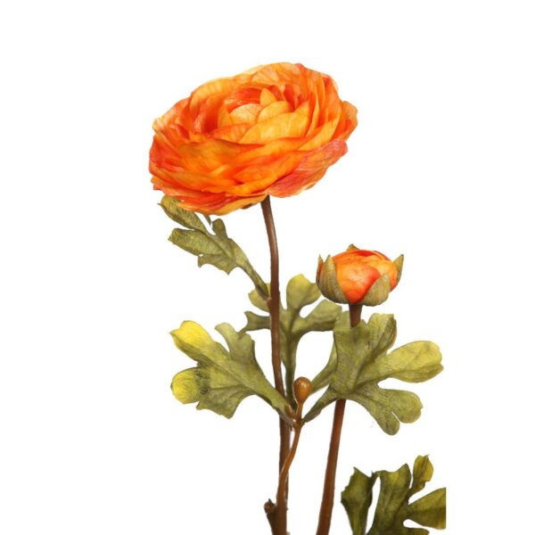 VARA RANUNCULO 54 CM - Imagen 4