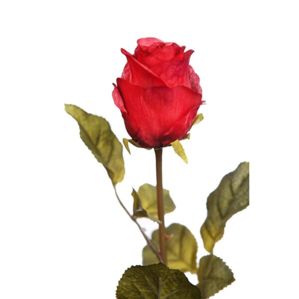 VARA ROSA 65 CM - Imagen 6