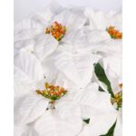 MACETA DE POINSETTIA ARTIFICIAL 48CM - Imagen 2