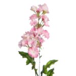 VARA FLOR BELLA DE DIA 76CM - Imagen 6