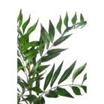 VARA RAMAJE 88CM - Imagen 2