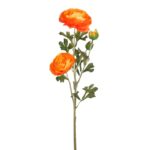 VARA RANUNCULO - Imagen 3