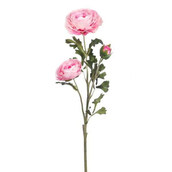 VARA RANUNCULO - Imagen 5