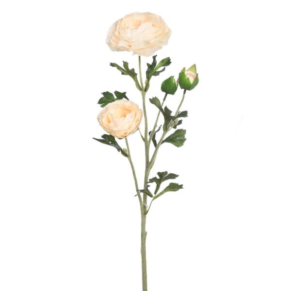 VARA RANUNCULO - Imagen 7