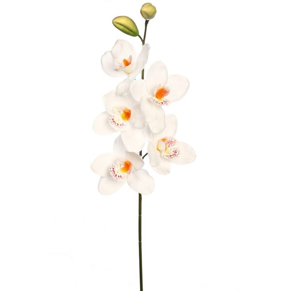 VARA CIMBIDIUM 70 CM - Imagen 1