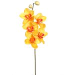 VARA CIMBIDIUM 70 CM - Imagen 3