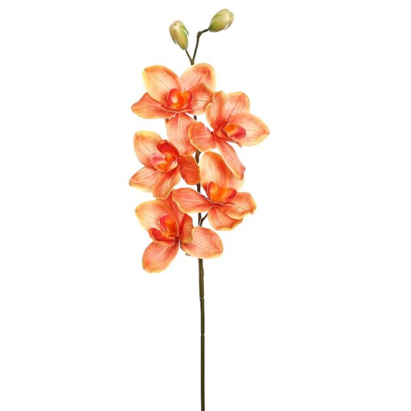VARA CIMBIDIUM 70 CM - Imagen 5