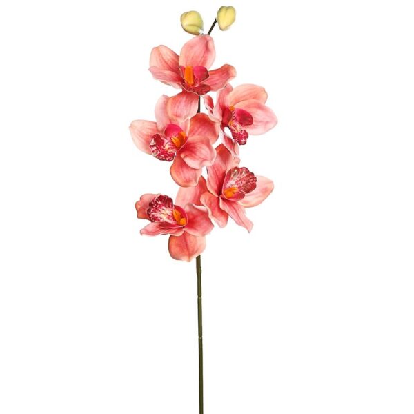 VARA CIMBIDIUM 70 CM - Imagen 7