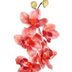 VARA CIMBIDIUM 70 CM - Imagen 8