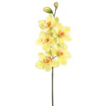 VARA CIMBIDIUM 70 CM - Imagen 9