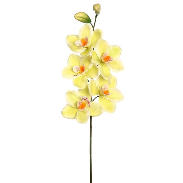 VARA CIMBIDIUM 70 CM - Imagen 9