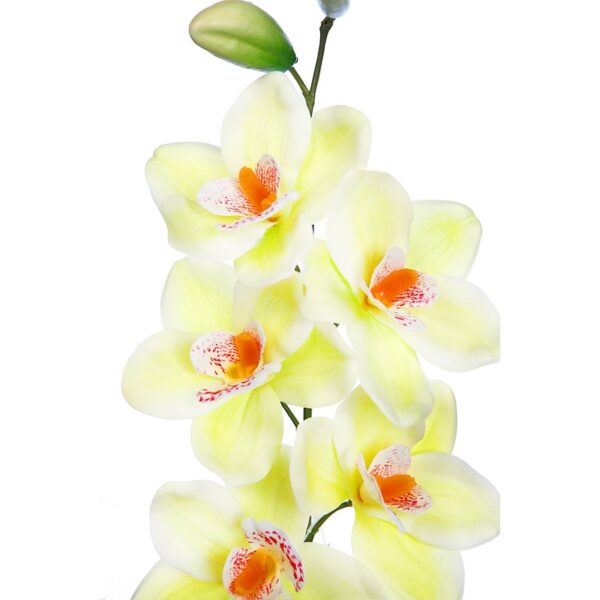 VARA CIMBIDIUM 70 CM - Imagen 10