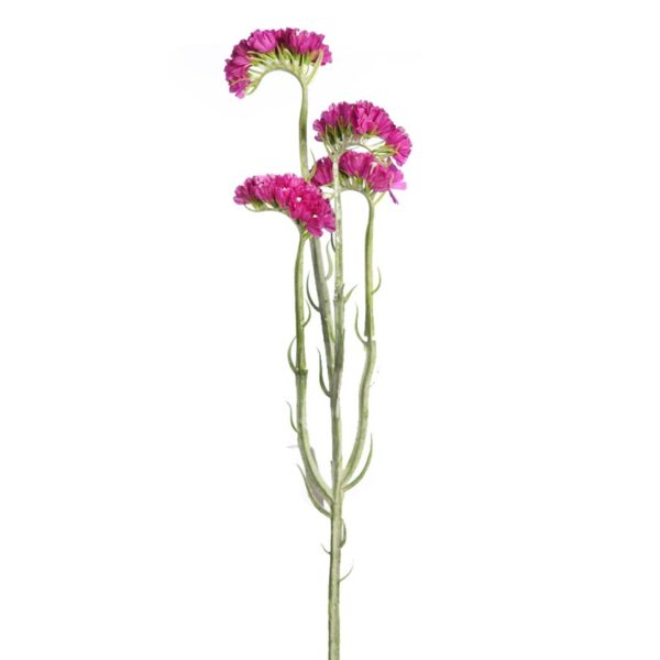 AD0580.09_0 SIEMPREVIVA STATICE LIMONIUM 63CM - Imagen 1