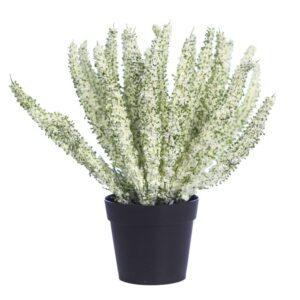 PLANTA BREZO CON MACETA 26CM