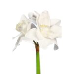 VARA AMARILIS ARTIFICIAL 64CM - Imagen 2