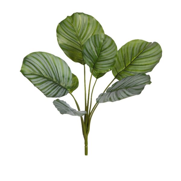 AD0648.10_0 PLANTA CALATHEA ARTIFICIAL 46CM - Imagen 1