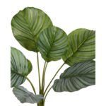 PLANTA CALATHEA ARTIFICIAL 46CM - Imagen 2