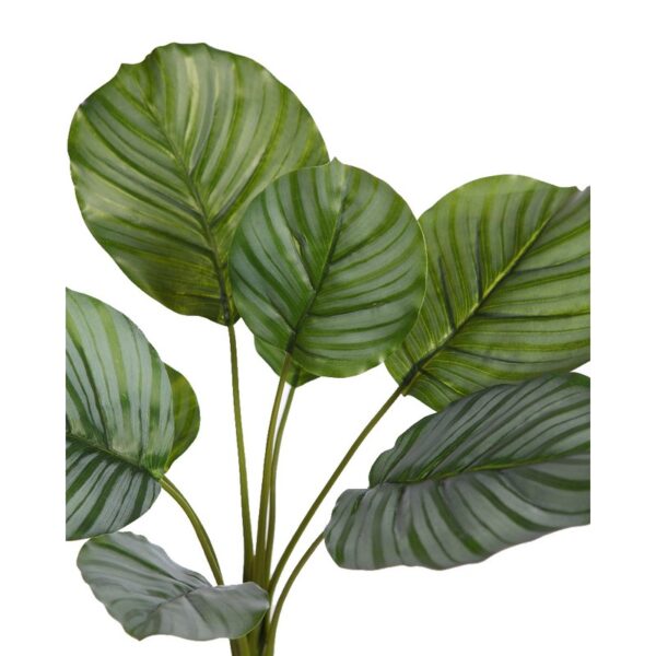PLANTA CALATHEA ARTIFICIAL 46CM - Imagen 2