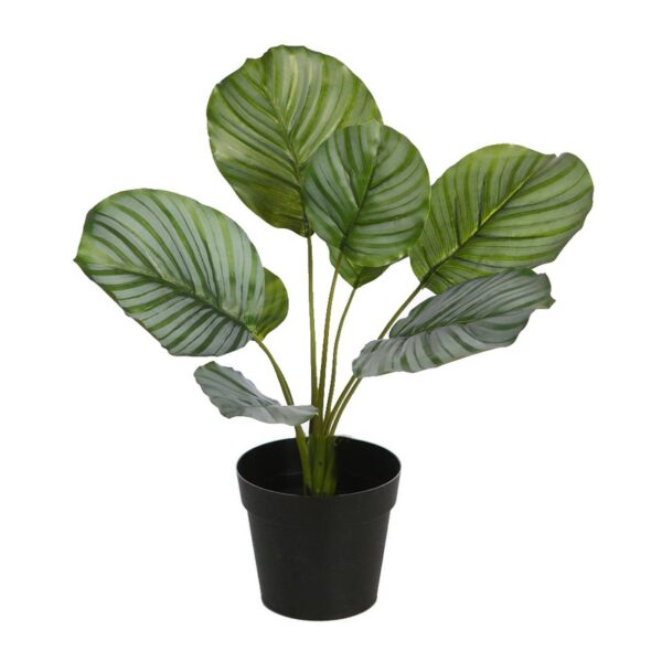 CALATHEA EN MACETA ARTIFICIAL 36CM - Imagen 1