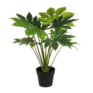 PLANTA ARALIA ARTIFICIAL EN MACETA 60CM