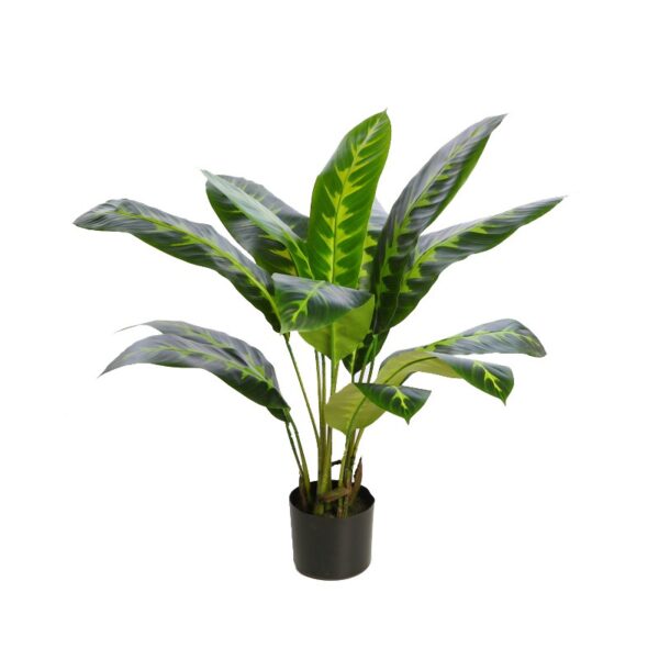PLANTA DIFEMBACHIA ARTIFICIAL 70CM - Imagen 1
