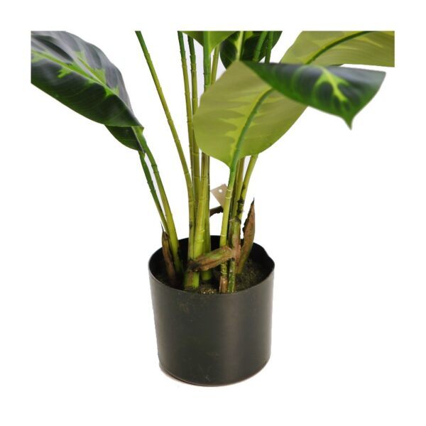 PLANTA DIFEMBACHIA ARTIFICIAL 70CM - Imagen 3