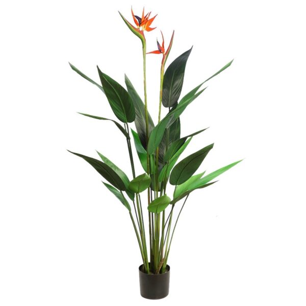 AD0676.10_0 PLANTA DE ESTERLICIA ARTIFICIAL 135CM - Imagen 1