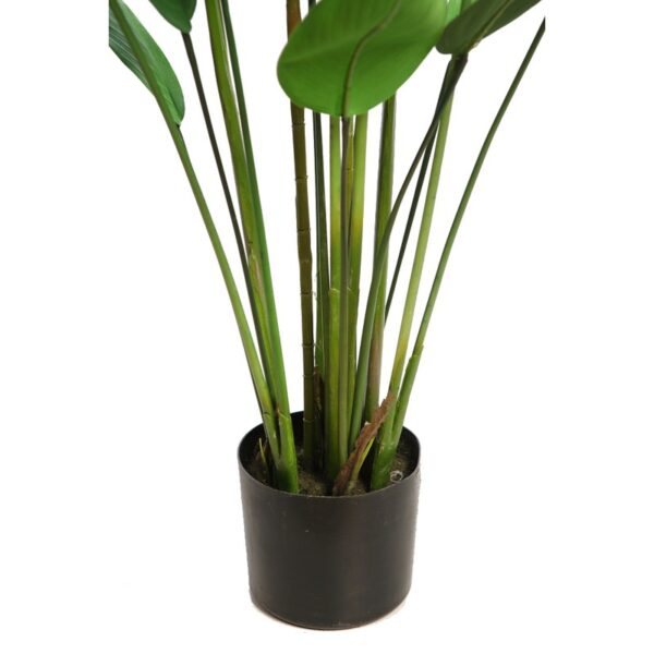 PLANTA DE ESTERLICIA ARTIFICIAL 135CM - Imagen 3