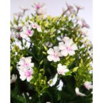 BOUQUET CALANCHOE ARTIFICIAL 58CM - Imagen 2