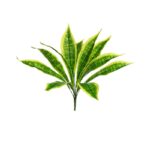 PLANTA DIFFEMBACHIA ATIFICIAL 50CM