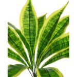 PLANTA DIFFEMBACHIA ATIFICIAL 50CM - Imagen 2