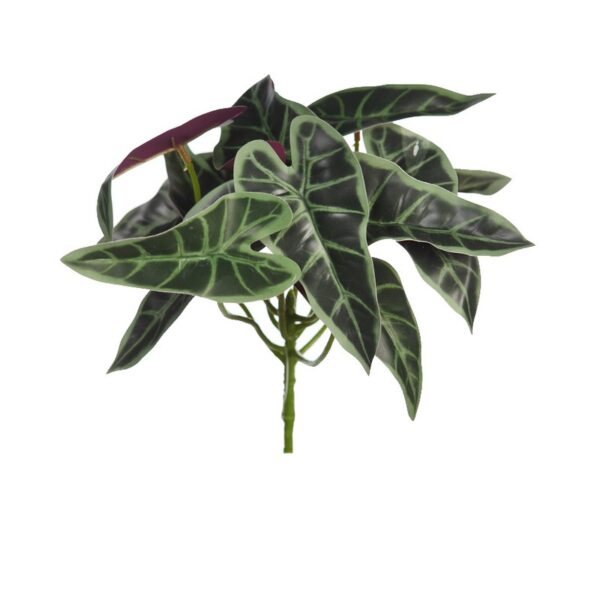 AD0776.G_0 PLANTA SINGONIO FLECHA 25CM - Imagen 1