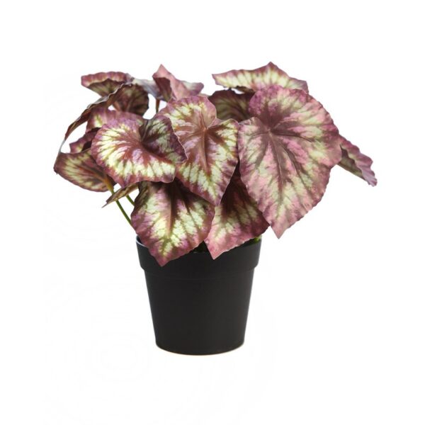 MACETA COLEO ARTIFCIAL 25CM - Imagen 1