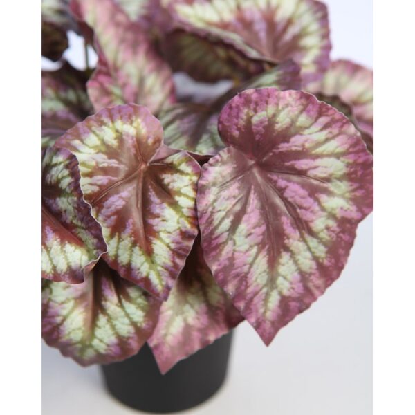 MACETA COLEO ARTIFCIAL 25CM - Imagen 2